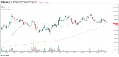 Bitcoin nereaguje na hack