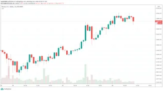 Bitstamp - Bitcoin prekonal 25 000 $