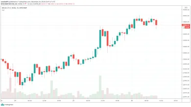 Bitstamp - Bitcoin prekonal 25 000 $