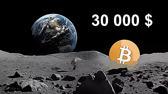 Bitcoin 30 000 $ moon