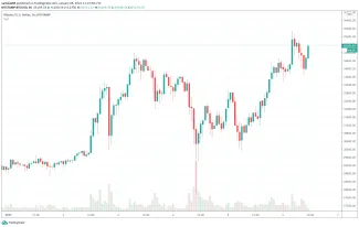 Bitcoin v roku 2021
