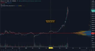 Inšitucionálna adopcia