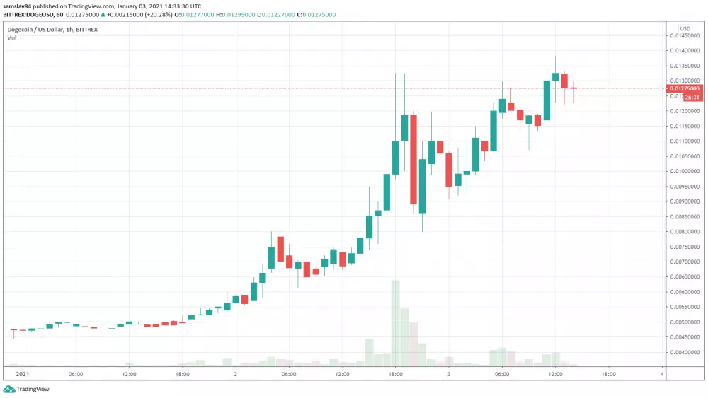 Dogecoin v roku 2021