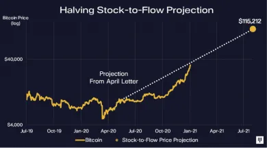 Pantera Capital stock-to-flow model
