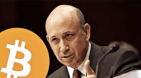 Lloyd Blankfein Bitcoin Goldman Sachs