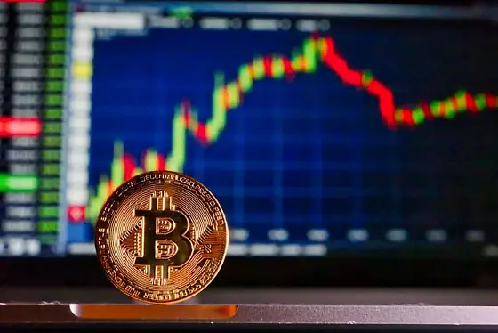 Bitcoin medvede a býci