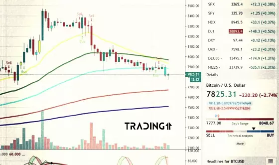 tradingview