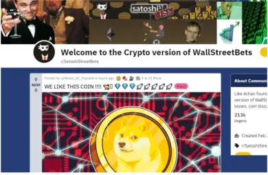 Wall Street Bets’ krypto sub-Reddit