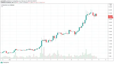 Cosmos ATOM v februári 2021