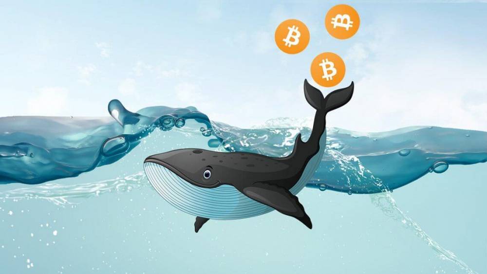 Bitcoinova velryba