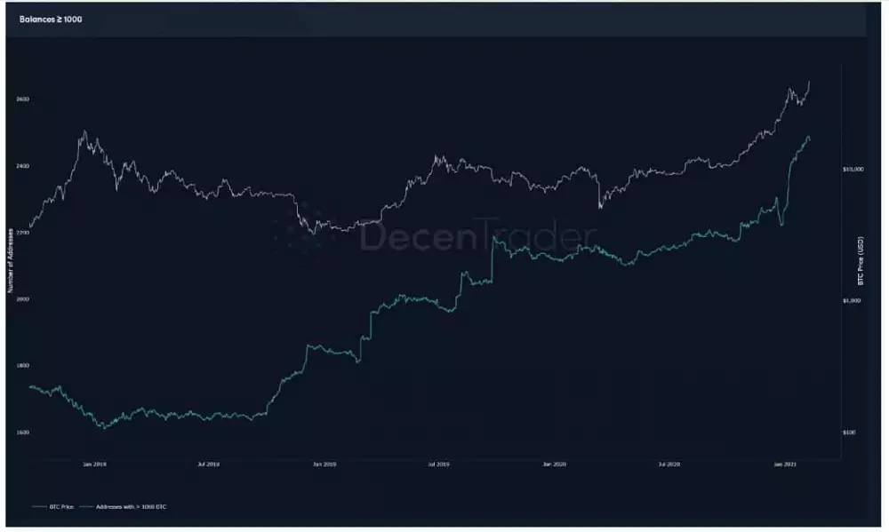 Počet veľkých bitcoin peňaženiek