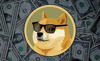 DOGE