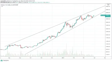 1D BTC/USD - Bitstamp - log graf