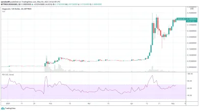 1D DOGE/USD - Bittrex