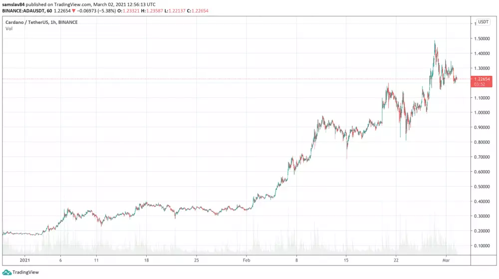 Cardano od začiatku roka