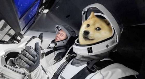 Elon Musk a DOGE