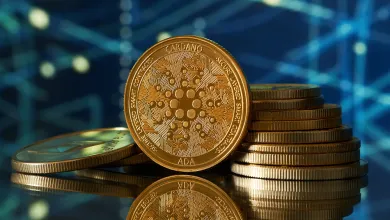 Čo hovorí analýza Cardana?