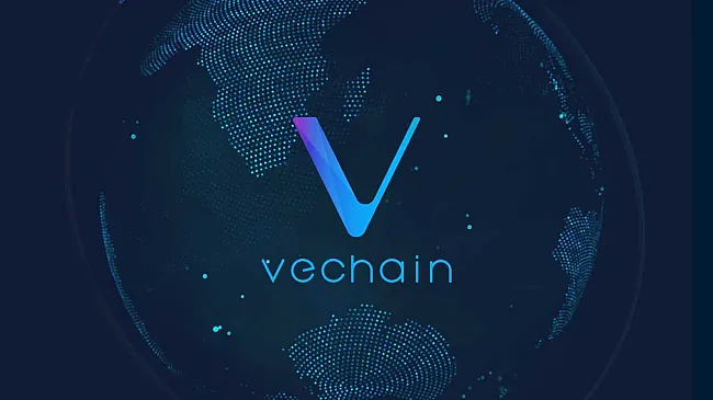 VET Vechain