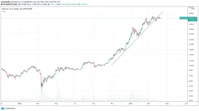 Bitcoin logaritmický graf