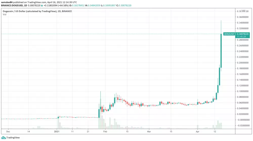 Dogecoin v roku 2021