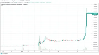 Dogecoin v roku 2021