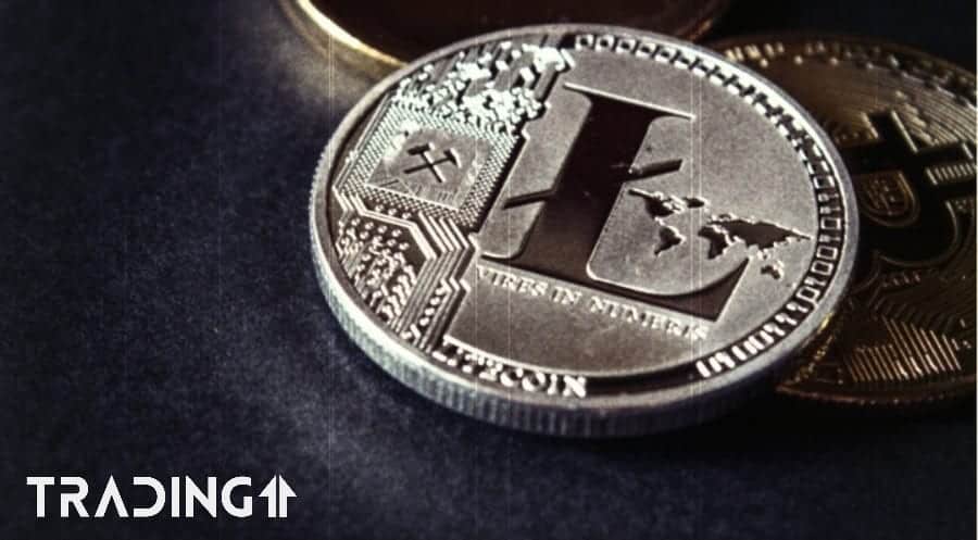 LTC Litecoin