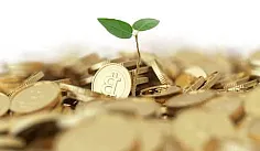 nákup kryptomien - výber zaujímavých investícii