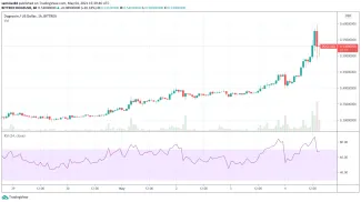 1h DOGE/USD – Bittrex