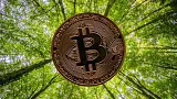 eco btc