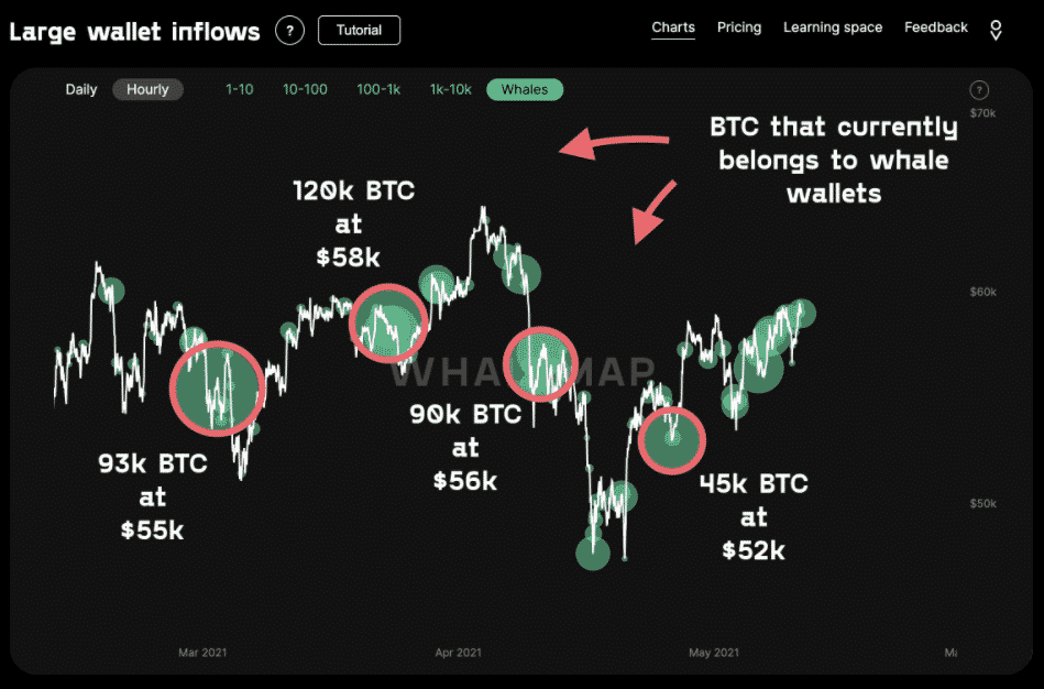 Klastre bitcoinových veľrýb