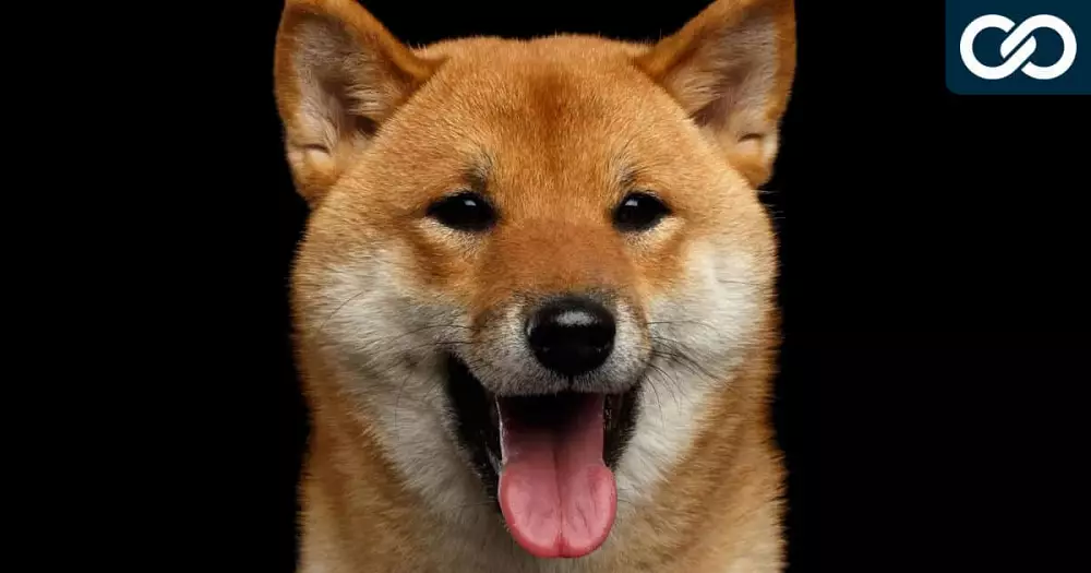 Shiba Inu SHIB