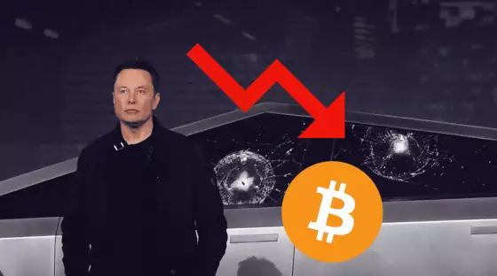 musk bitcoin