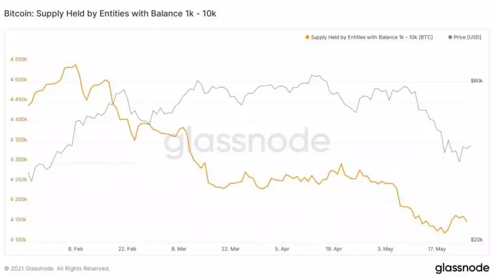 glassnode btc1