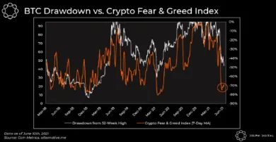 BTC drawdown vs. Index strachu a chamtivosti. Zdroj: Delphi Digital