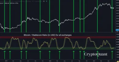 Oscilátor pomeru BTC ku stablecoinom so zvýraznenými bodmi nákupu. Zdroj: Cole Garner / Twitter