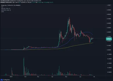 DOGE/USDT denný graf na Binance. Zdroj: TradingView