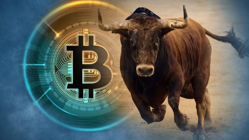 bitcoin bull