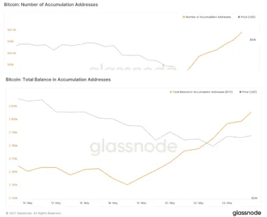 Bitcoinoví býci pokračujú počas poklesu v akumulácii. zdroj: Glassnode.