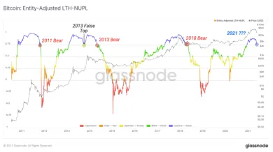 Čistý nerealizovaný zisk / strata dlhodobých držiteľov prispôsobených jednotkám Bitcoinu. Zdroj: Glassnode