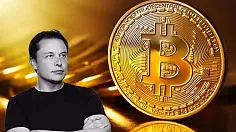 Musk BTC