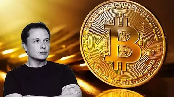 Musk BTC