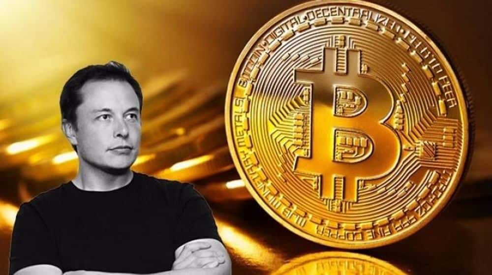 Musk BTC