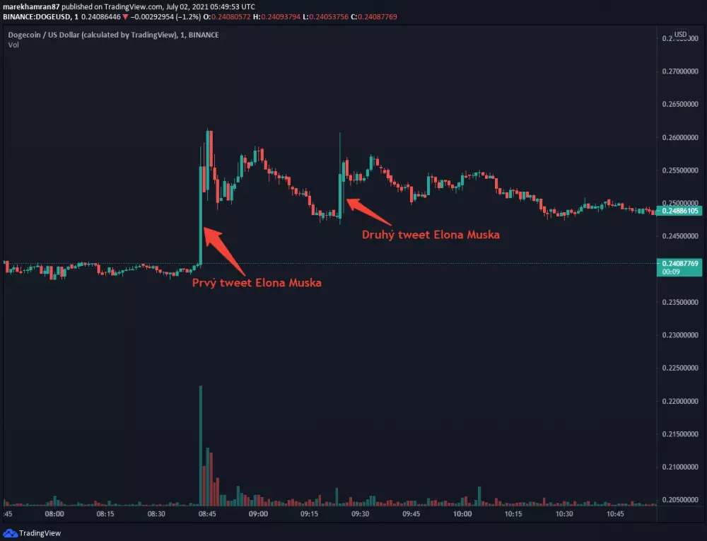 DOGE/USD po zverejnení tweetov od Muska. Zdroj: TradingView