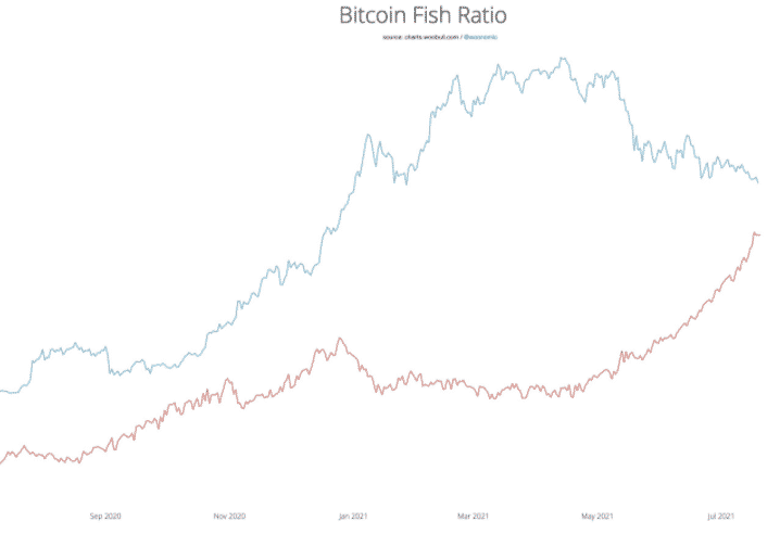 Pomer investorov Bitcoinu. Zdroj: Willy Woo/Twitter