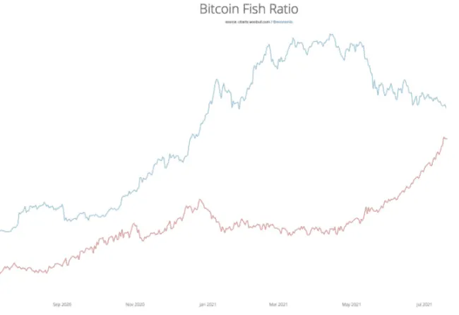 Pomer investorov Bitcoinu. Zdroj: Willy Woo/Twitter