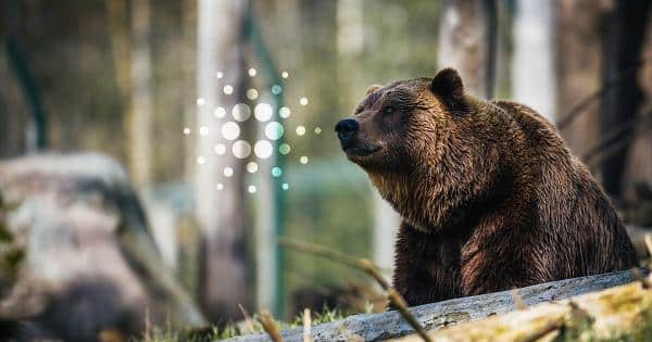 Cardano