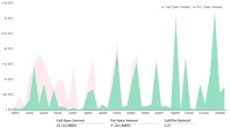 Agregované BTC nákupné opcie pre 31. december. Zdroj: Bybt