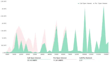 Agregované BTC nákupné opcie pre 31. december. Zdroj: Bybt