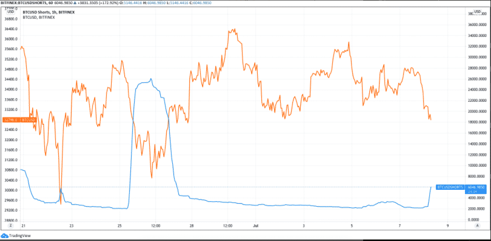 BTC short na Bitfinexe (modrá) vs. BTC cena (oranžová). Zdroj: TradingView