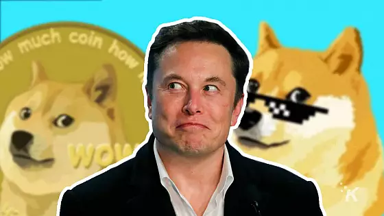 elon musk doge